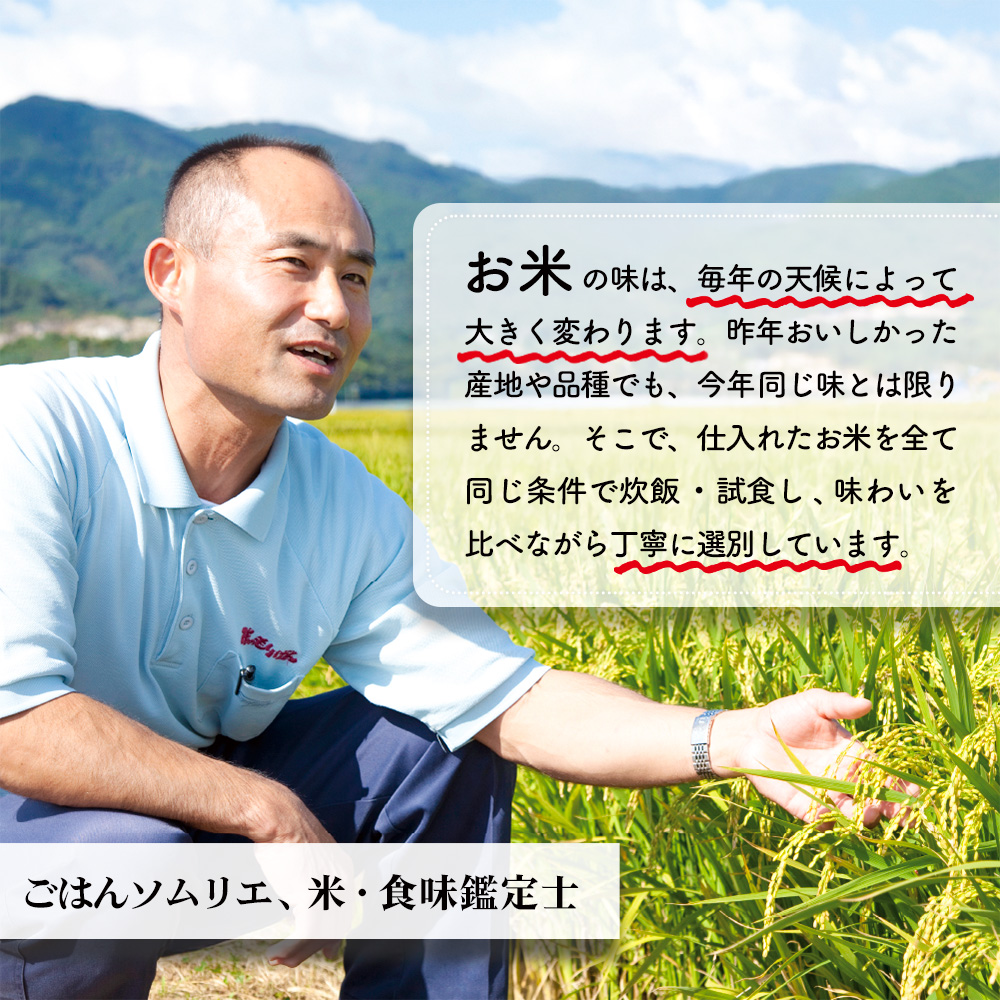 【令和7年産】ごはんソムリエが厳選 無洗米 さがびより 5kg【神埼市産 米 お米 無洗米 精米 白米 5kg さがびより ブランド米 食味鑑定士】(H063159)