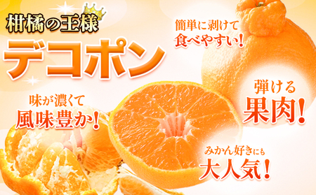 デコポン ご家庭用 約2kg 訳あり デコポン《2026年2月上旬-4月末頃出荷》｜デコポンデコポンデコポン