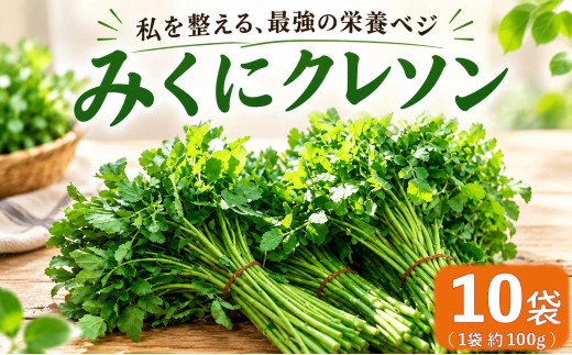 クレソン 100g × 10袋 美容 健康 野菜 スーパーフード 野菜 茨城県産 国産野菜 国産 茨城県 筑西市 筑西 関東 三国園 みくにクレソン mkn003