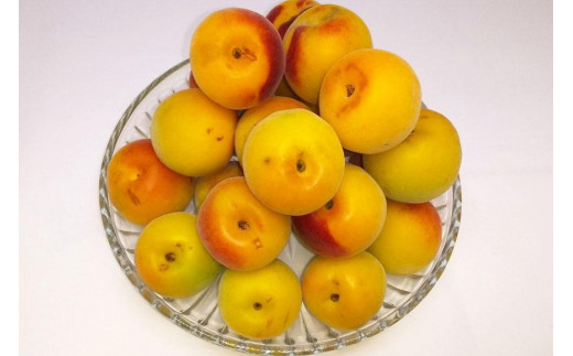 
                  ［梅干づくり用］紀州南高梅・優５ｋｇ（２Ｌ）
                