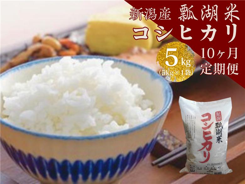 【令和7年産】【10ヶ月定期便】新潟産 コシヒカリ「瓢湖米」 5kg×10回 白米 精米 1N13107