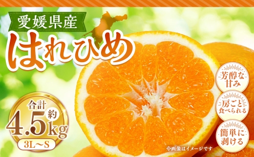 はれひめ 約4.5kg みかん ミカン オレンジ くだもの 果物 フルーツ 柑橘 柑橘系 柑橘類 果実 果汁 果肉 国産 【 2026年12月下旬～2027年1月上旬発送予定 】 ( 1121 )
