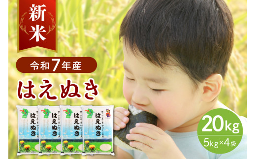 【令和7年産米】2025年10月下旬発送 はえぬき20kg（5kg×4袋）山形県産 【JAさがえ西村山】