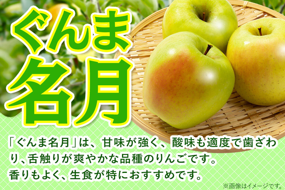 【27年2月発送】りんご ぐんま名月【訳あり】約3kg 先行受付 家庭用 青森県 弘前市 果物 フルーツ 林檎 リンゴ くだもの 不揃い 規格外 [先行予約 産地直送 アップル おいしい 果実 美味 甘い 黄色]