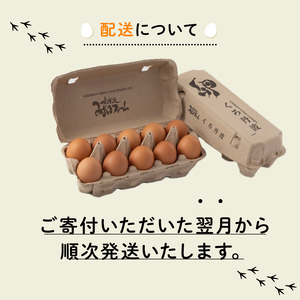 【定期便】くろ丹波 20個 12回 京都 こだわり たまご卵 たまご 濃い 玉子 セット 定期 定期便 玉子焼き 卵焼き 卵かけご飯 ゆで卵 鶏卵 卵黄 64000円 ふるさと納税卵 ふるさと納税たま