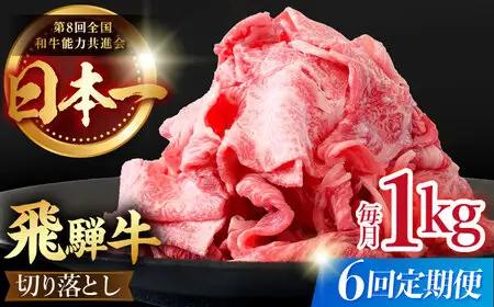  【6回定期便】【飛騨牛】切り落とし 総計6kg 〈1回あたり〉1kg (250g×4) [TDC015]飛騨牛 切り落とし
