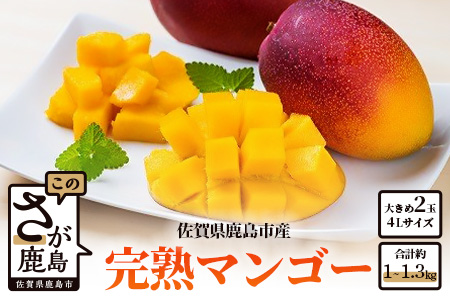 C-36 【生産者直送】濃厚完熟!まっちゃんマンゴー（大きめ4L×2玉）【2026年5月中旬頃から6月初旬発送】