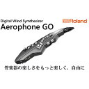 【ふるさと納税】電気 管楽器 ウインドシンセサイザー Aerophone GO Roland 電気管楽器 デジタル管楽器 ウインドシンセ シンセサイザー ヘッドホン 対応 Bluetooth サックス フルート クラリネット 楽器 音楽 ローランド roland 浜松 浜松市 【配送不可：離島】