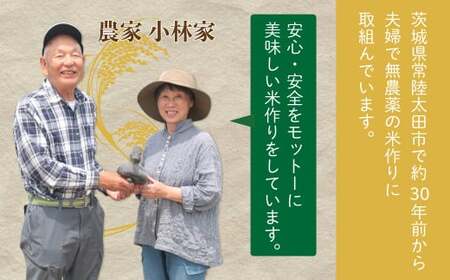 【令和５年産】いのちの壱 龍神の舞　白米５kg 【米 こめ コメ 米 特別栽培認証米 いのちの壱 合鴨農法 自然農法】