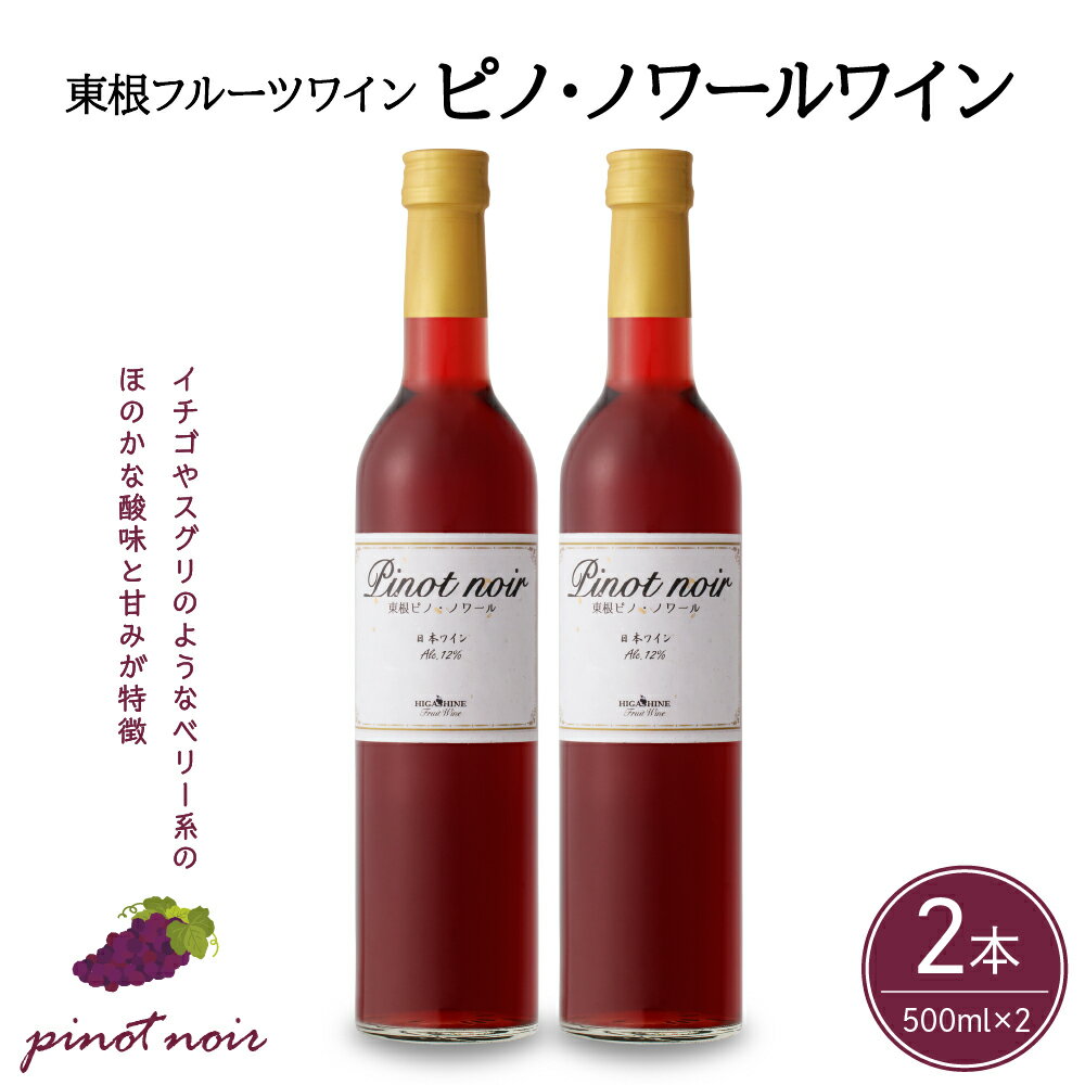 【ふるさと納税】 ワイン ピノ・ノワールワイン 500ml × 2本 セット / 赤ワイン 日本ワイン ワインセット 国産 ぶどう 赤 酒 お酒 洋酒 果実酒 アルコール 母の日 父の日 敬老の日 記念日 誕生日 ギフト プレゼント お取り寄せ 送料無料 山形県 東根市