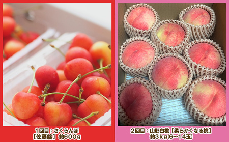 【定期便4回】ノノハナフルーツ 山形人気のフルーツ直送便 TOP４【令和8年産先行予約】FS25-070