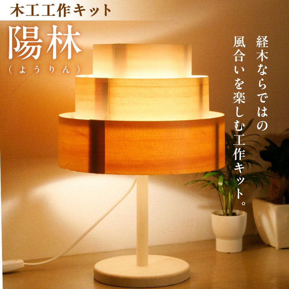 【ふるさと納税】木工工作キット「陽林」 加賀谷木材 | 木工 キット 経木 照明 灯り 灯 親子 子ども ライト 家族 作る 組み立て インテリア DIY 楽しむ 木製 北海道 津別町 送料無料