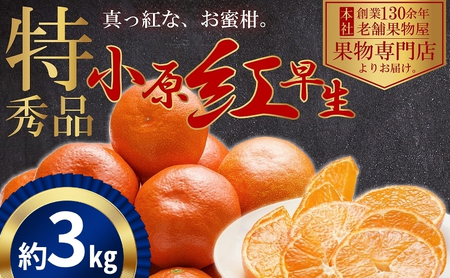 小原紅早生 みかん 真っ赤な 香川県産 小原紅早生【約3kg】
