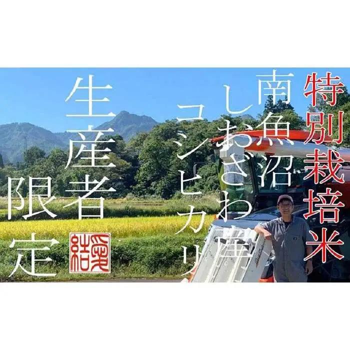 【令和7年産】【定期便10Kg×3ヶ月】【特別栽培米】 契約生産者限定  南魚沼しおざわ産コシヒカリ【定期便 銘柄米 ブランド米 精米 こしひかり コシヒカリ 魚沼産 新潟米 産地直送 お米 米 こめ
