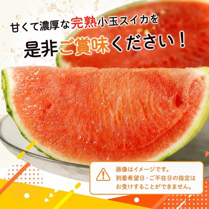 紀州和歌山産 小玉スイカ「ひとりじめ」2玉【予約】 ※2026年6月上旬頃～7月上旬頃に順次発送予定(お届け日指定不可) スイカ すいか 果物 くだもの フルーツ【uot779A】