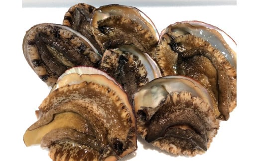H22-202.竹中水産の八幡浜発！「天然アワビ三昧（大サイズ入り！）・1kg前後」