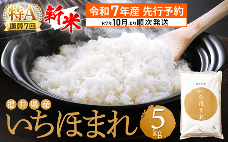 【新米・先行予約】令和7年産 米どころ福井のお米！いちほまれ5kg 特A通算7回！ [e27-a038_10] 福井県 いちほまれ 米 お米