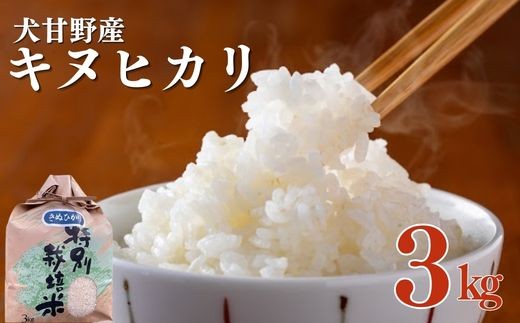 
                  【令和7年産】亀岡産 犬甘野産 きぬひかり 精米 3kg【原田農園】白米 米 お米 こめ コメ ライス ご飯 ごはん ふっくら つやつや おいしい 美味しい 贈り物 単一原料米 減農薬 減農薬米 国産 キヌヒカリ 仕送り お取り寄せ 令和7年産米 産地直送 契約栽培 おすすめ 人気 送料無料 3キロ ３ｋｇ 
                