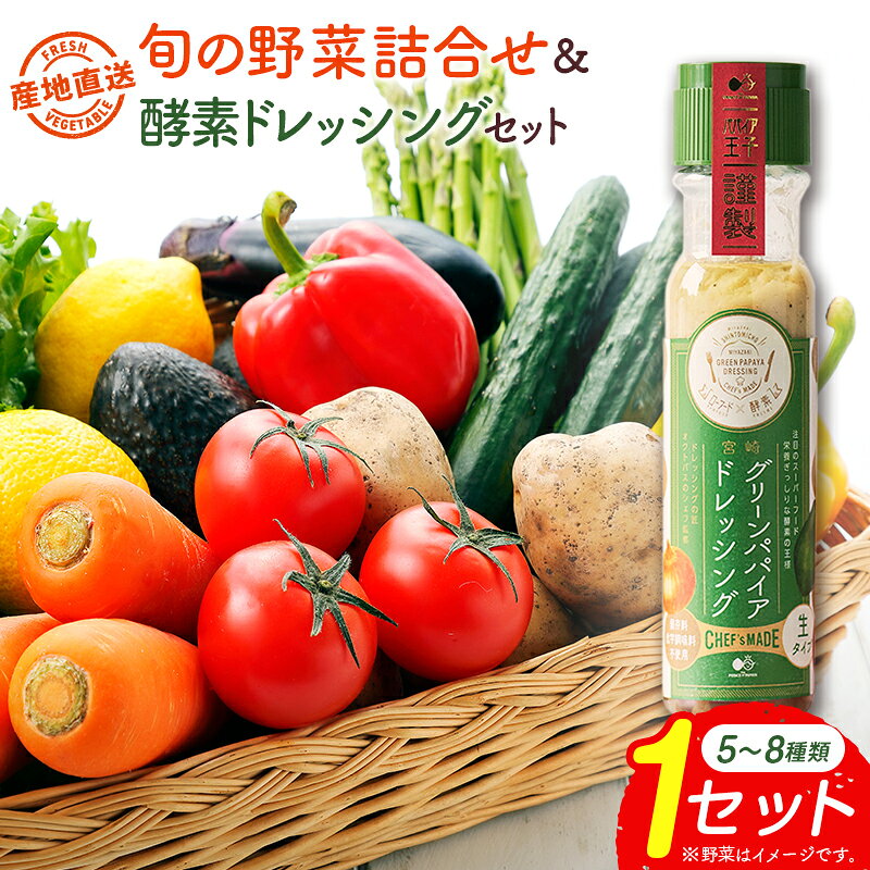 【ふるさと納税】産地直送！旬の野菜（5〜8種類）＆ドレッシング セット お試し おまかせ 詰合せ 宮崎県新富町産［※7・8月はラインナップ都合により配送なし］