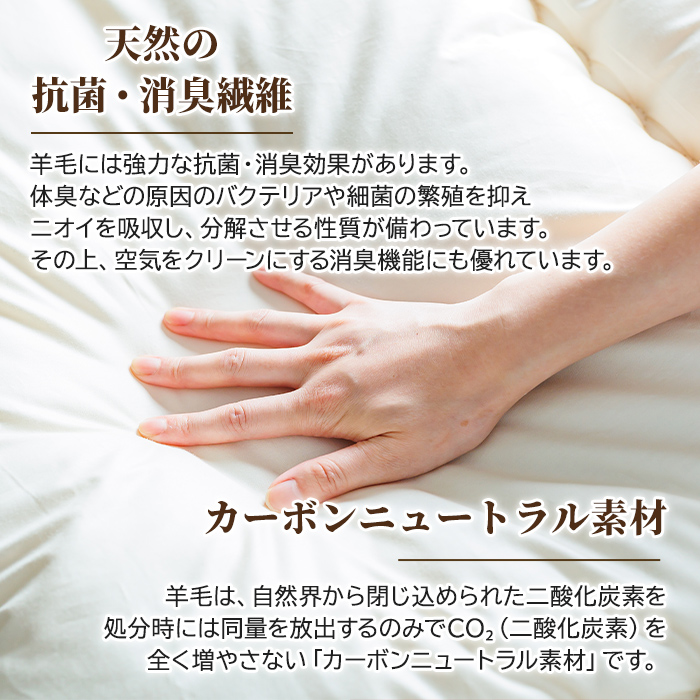 【F7053】＼羊毛100％／ピュアウール 寝具 3点セット (1組) 布団 ふとん シングル 寝具 まくら 布団セット 羊毛 ウール 羊毛布団 布団セット 掛布団 掛ふとん 敷布団 敷ふとん 枕 睡眠 眠り 【寝具の井上】