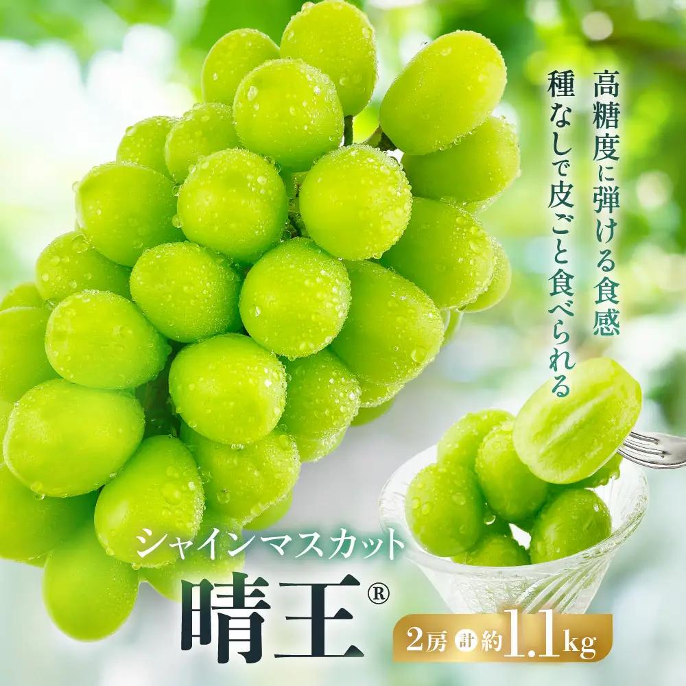 シャインマスカット 晴王 2房 計約1.1kg｜ シャインマスカット