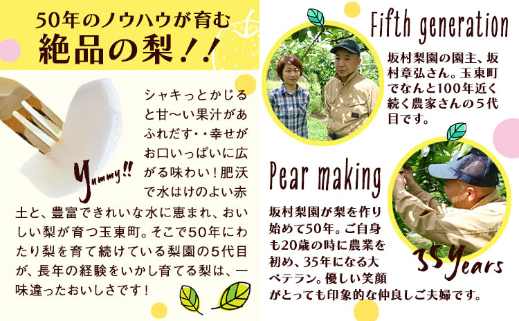 梨 なし 甘太梨 約5kg(5～18玉前後) 坂村梨園 《8月中旬-11月上旬頃出荷》熊本県 玉東町 秋 旬 梨 フルーツ 果物 期間限定---gkt_skmr_3_5kg---