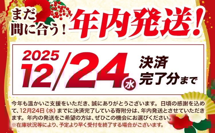 
            【年内発送】令和7年産  こしひかり 10kg 《7-14日以内に出荷予定(土日祝除く)》熊本県産 ふるさと納税  白米 精米 ひの 米 こめ ふるさとのうぜい コシヒカリ コメ お米 おこめ
          