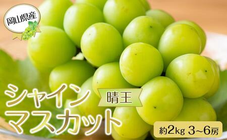 岡山県産 ぶどう 2024年 先行予約 シャイン マスカット 晴王 約2kg 3～6房 種無し ブドウ 葡萄 フルーツ 果物 ギフト [No.5220-1524]