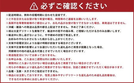 園主が愛情を注ぎ込んだ 桃 （赤桃・黃桃） 詰め合わせ 約2kg （6～11玉） 山形県産 果物 くだもの 夏果実 フルーツ 【2026年8月発送予定】