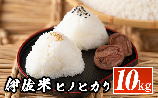 isa135  鹿児島県産！伊佐米ヒノヒカリ(10kg) ふるさと納税 伊佐市 特産品 国産 白米 精米 伊佐米 お米 米 ひのひかり【神薗商店】