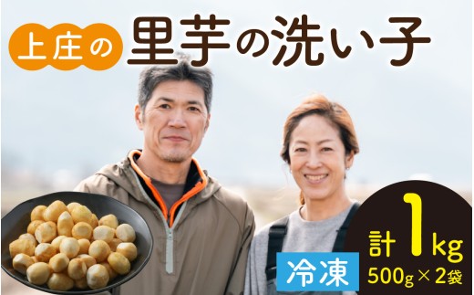 【先行予約】皮むきいらず、煮っ転がしに最適！上庄の里芋の洗い子 1kg【冷凍】【10月中旬より順次発送】