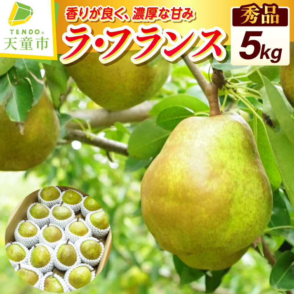 【ふるさと納税】ラ・フランス 5kg 秀 (14～18玉) 令和8年産 先行予約 2026年 ラフランス 洋梨 西洋梨 果物 フルーツ 家庭用 のし 贈答 ギフト プレゼント おすそ分け お取り寄せグルメ 旬 秋 冬 期間限定 送料無料 先行予約 【 山形県 天童市 】