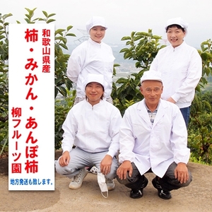 柳フルーツ園の「紀州手作り　あんぽ柿」フルーツギフト【配送不可地域：離島】【1021103】