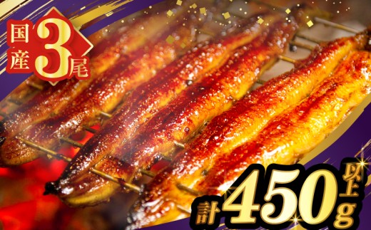 うなぎ蒲焼3尾(さんしょう・たれ付き)計450g以上 鰻 魚 魚介 加工品 国産_T026-0145