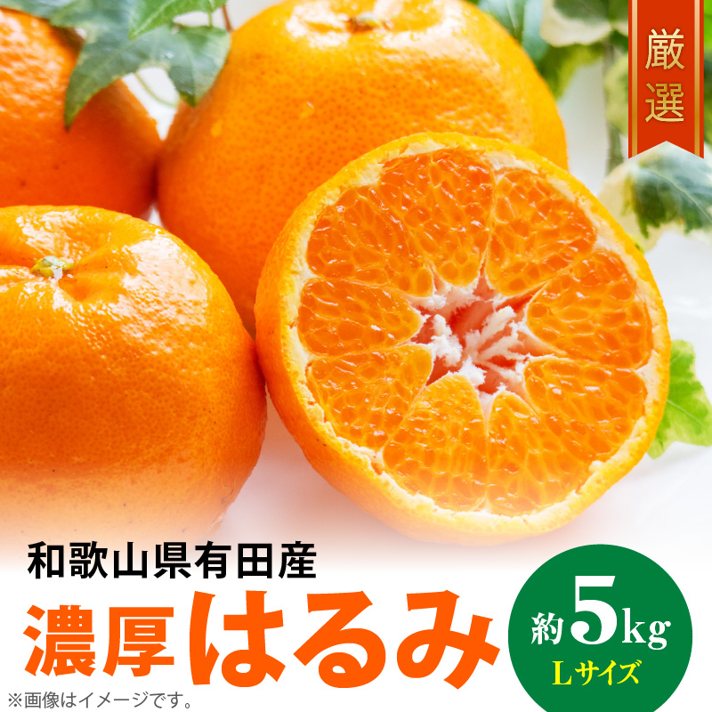 和歌山有田の濃厚 はるみ 5kg (Lサイズ)【ハルミ 春見 ミカン 蜜柑 柑橘 和歌山 有田】_AB6047n