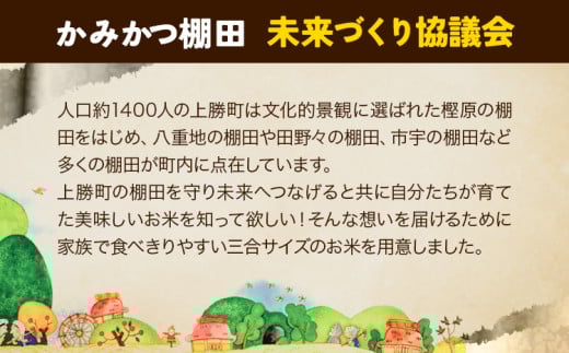かみかつ棚田未来づくり協議会 米 かみかつの棚田米 松下さんちのお米 白米 コシヒカリ レターパック配送 3合《30日以内に出荷予定(土日祝除く)》 徳島県 上勝町 ふるさと納税 送料無料st-p