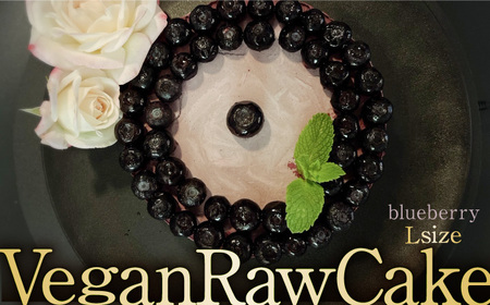 植物性100％ Vegan Raw Cake Blueberry（ブルーベリー／Lサイズ）☆お砂糖☆小麦粉☆乳製品不使用のスイーツ ヴィーガンローケーキ 吉野ヶ里町/Dondonyokunaru [FCF035]