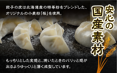 国産素材 冷凍餃子 100個 餃子 餃子
