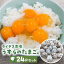 【ふるさと納税】田原市産 うずらの卵 10玉入り×24パック タイデスうずら 鶉 ウズラ たまご 240個 クウェールコスモス 愛知県 田原市 国産 渥美半島