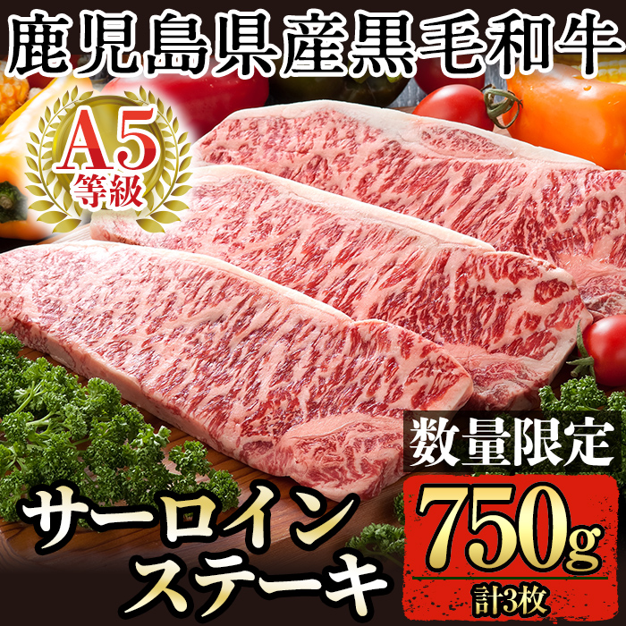 D-064＜数量限定！＞鹿児島県産黒毛和牛サーロインステーキ3枚 計750g(Ａ-5等級)国産！鹿児島県産黒毛和牛肉の中でも最高ランクA5等級のサーロイン肉【九面屋】