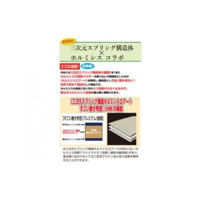 ふるさと納税 玖珠町 ホルミシスエアー すごい敷き布団三分割 |  | 01
