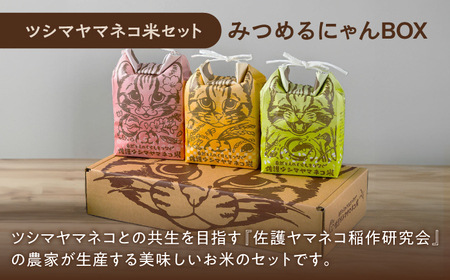 対馬 ひのき の お弁当箱 (1段)と佐護 ツシマヤマネコ 米 みつめるにゃんBOXセット《対馬市》【一般社団法人MIT】 木製 弁当箱 贈り物 新生活 わっぱ[WAP010] コダワリお米・弁当箱・