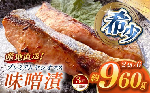 【定期便3回】「プレミアムヤシオマス」の味噌漬 2切入×6パック  [ 冷凍便 ] | 魚 ます 養殖 産地直送 栃木県 (毎月お届け）