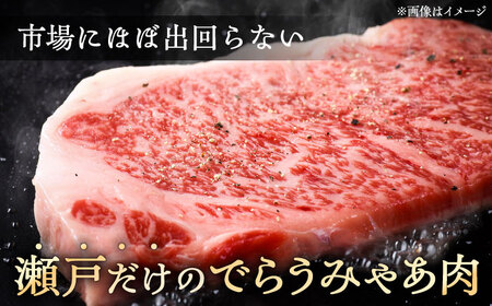 【全12回定期便】瀬戸山麓和牛希少部位ステーキセット500g以上 / 牛肉 お肉 国産 冷凍 / 瀬戸市 / 関屋精肉店[BBBQ105]