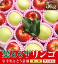 【ふるさと納税】さとう農園の葉とらずリンゴ　ミックス（王林/サンふじ）　5kg　 果物類 美味しい 生産 大人気 果汁 果肉 歯ごたえ ジューシー 食感 絶品 高糖度 蜜 甘い 食べ比べ 　お届け：2024年12月中旬～2025年1月下旬