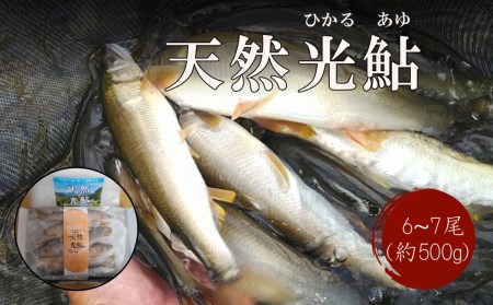 【数量限定】 宮崎県 美郷町 天然 鮎 約500g [小丸川天然鮎工房hikaru 宮崎県 美郷町 31af0005] 数量限定 あゆ アユ 急速 冷凍 宮崎県産 小丸川 送料無料