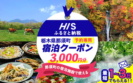 HISふるさと納税宿泊予約専用クーポン（栃木県那須町）3,000円分｜宿泊 宿泊券 旅行 旅行券 旅券 クーポン 旅 トラベル お出かけ 温泉 宿泊予約 HIS 那須 〔B-114〕