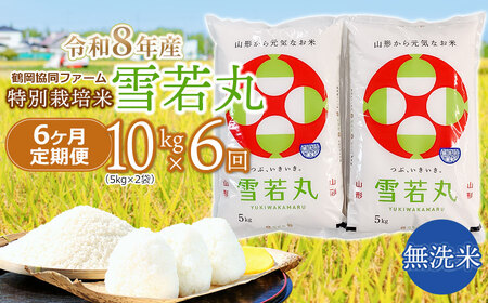 【令和8年産先行予約】 特別栽培米雪若丸 無洗米 10kg (5kg×2袋) ×6ヶ月【定期便】 山形県鶴岡産　鶴岡協同ファーム