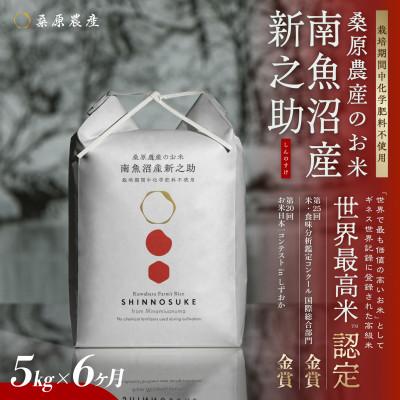 ふるさと納税 南魚沼市 【発送月固定定期便】ギネス世界記録「世界最高米」認定 最高級南魚沼産新之助5kg (精米)全6回