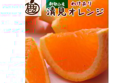 ［先行予約］家庭用 清見オレンジ2.5kg+250g（傷み補償分）［光センサー食頃出荷］［樹上完熟きよみオレンジ・清見タンゴール・清美］［わけあり・訳あり］［IKE144］